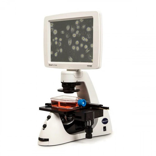 EVOS™ XL Core Configured Microscope with Mechanical Stage